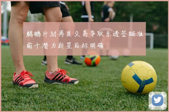 鹈鹕计划再度交易争取乐透签瞄准前十潜力新星目标明确